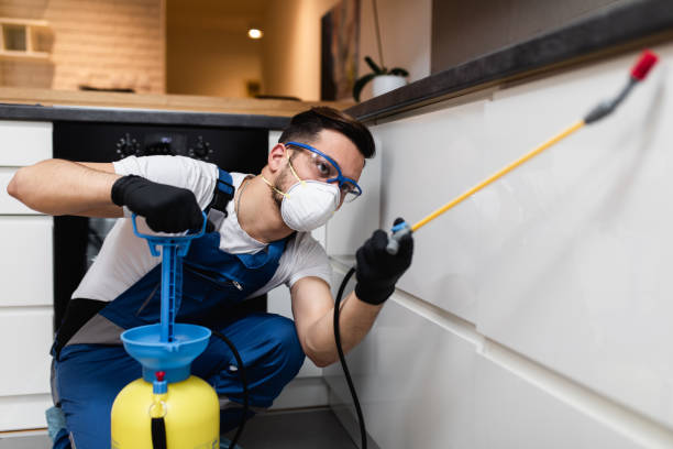 Best Residential Pest Control  in Silver Lake, KS