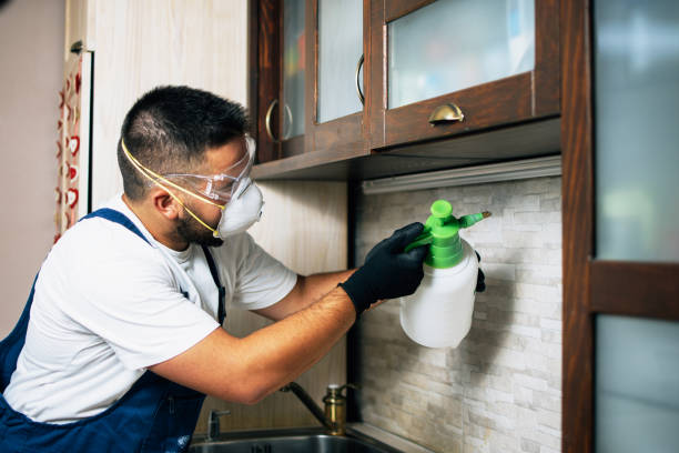 Professional Pest Control in Silver Lake, KS