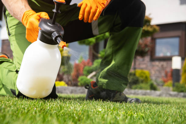 Best Pest Inspection Near Me  in Silver Lake, KS