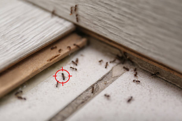 Pest Control for Restaurants in Silver Lake, KS