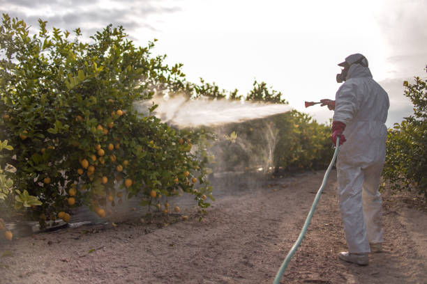 Best Mosquito Control Services  in Silver Lake, KS