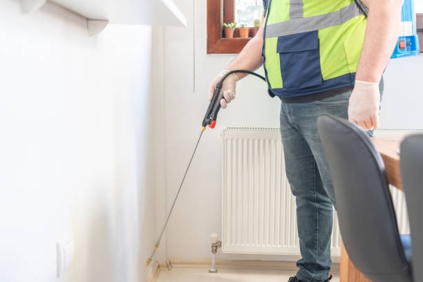 Best Termite Control Services  in Silver Lake, KS