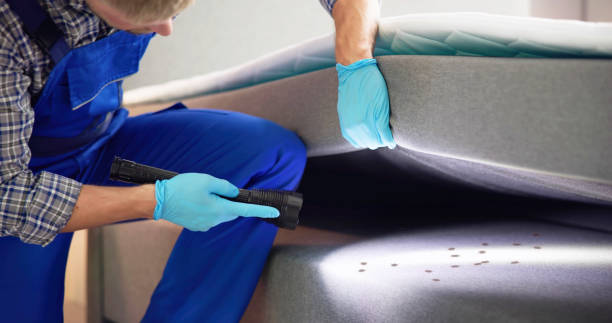 Best Mosquito Control Services  in Silver Lake, KS