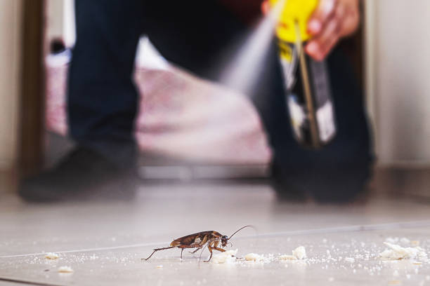 Best Best Pest Control Companies  in Silver Lake, KS