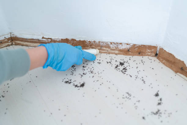 Best Emergency Pest Control  in Silver Lake, KS